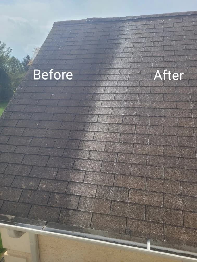 A shingle roof with a clean section beside a section still covered in dark algae, labeled Before and After